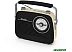 Радиоприемник Ritmix RPR-075 Радиоприемник Ritmix RPR-075