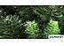 Сосна Greenterra Люкс с зелеными концами 1,8 м