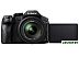 Фотоаппарат Panasonic Lumix DMC-FZ300 Фотоаппарат Panasonic Lumix DMC-FZ300