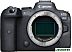 Беззеркальный фотоаппарат Canon EOS R6 Body