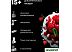 Кухонный комбайн Kenwood kMix KMX 750RD Кухонный комбайн Kenwood kMix KMX 750RD