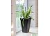 Вазон Multy Home Symphony EU5100014 (черный) Вазон Multy Home Symphony EU5100014 (черный)
