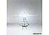 Галогенная лампа Osram Night Breaker 200 H7 64210NB200 (картонная коробка, 1 шт) Галогенная лампа Osram Night Breaker 200 H7 64210NB200 (картонная коробка, 1 шт)