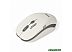 Компьютерная мышь SmartBuy Wireless Optical Mouse SBM-344CAG-WG (белый/серый)