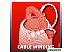 Насос Einhell GC-DP 7835 (4170682) Насос Einhell GC-DP 7835 (4170682)