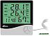 Метеостанция Ritmix CAT-230