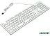 Клавиатура Dialog Gan-Kata KGK-17U White Клавиатура Dialog Gan-Kata KGK-17U White