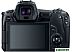 Беззеркальный фотоаппарат Canon EOS R Body