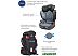 Детское автокресло Rant Master isofix SPS BH2311 (серый) Детское автокресло Rant Master isofix SPS BH2311 (серый)
