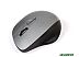 Мышь беспроводная SmartBuy 309AG Silver/Black (SBM-309AG-SK)