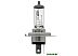 Галогенная лампа Bosch H4 Pure Light 1 шт Галогенная лампа Bosch H4 Pure Light 1 шт