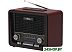 Радиоприемник Ritmix RPR-088 (черный) Радиоприемник Ritmix RPR-088 (черный)