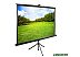 Проекционный экран Cactus TriExpert 220x220 CS-PSTE-220х220-BK Проекционный экран Cactus TriExpert 220x220 CS-PSTE-220х220-BK