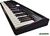 Цифровое пианино Roland Go:Piano GO-61P Цифровое пианино Roland Go:Piano GO-61P