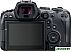 Беззеркальный фотоаппарат Canon EOS R6 Body