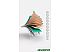 Лонгборд Mindless Surf Skate Green MS1000 Лонгборд Mindless Surf Skate Green MS1000