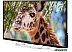 Телевизор Polar Line 32PL54TC-SM Телевизор Polar Line 32PL54TC-SM