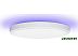 Умный светильник Yeelight Ceiling Arwen 550S YLXD013-A (белый) Умный светильник Yeelight Ceiling Arwen 550S YLXD013-A (белый)