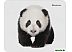 Коврик для мыши Defender Wild Animals Панда [50803]