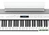 Цифровое пианино Roland FP-60X (белый) Цифровое пианино Roland FP-60X (белый)