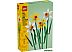 Конструктор LEGO Creator Expert 40747 Нарциссы