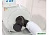 Станок Белмаш DC2500MC/380 Станок Белмаш DC2500MC/380