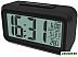 Радиочасы Ritmix CAT-100 (черный) Радиочасы Ritmix CAT-100 (черный)
