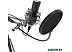 Микрофон Ritmix RDM-180 Микрофон Ritmix RDM-180