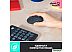 Офисный набор Logitech MK295 Silent Wireless Combo 920-009813 (графитовый) Офисный набор Logitech MK295 Silent Wireless Combo 920-009813 (графитовый)