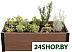 Ящик для рассады Keter Maple 249298 (коричневый) Ящик для рассады Keter Maple 249298 (коричневый)