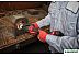 Прямошлифовальная машина Milwaukee M18 FDGROVPDB-0X One-Key Fuel 4933480957 (без АКБ, кейс) Прямошлифовальная машина Milwaukee M18 FDGROVPDB-0X One-Key Fuel 4933480957 (без АКБ, кейс)