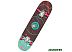 Скейтборд Atemi ASB31D03 31x8 Скейтборд Atemi ASB31D03 31x8