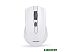 Мышь SmartBuy One 352AG (белый) (SBM-352AG-W)