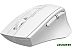 Мышь A4Tech Fstyler FG30 (белый/серый)