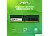 Оперативная память Digma 16ГБ DDR5 4800 МГц DGMAD54800016S