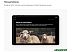 Планшет Huawei MatePad SE 10.4 Планшет Huawei MatePad SE 10.4