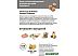 Сухой корм для собак Probalance Immuno Adult Small and Medium 15 кг