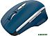 Мышь CANYON MW-21 (сапфир)