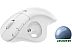 Трекбол Logitech MX Ergo M575 (белый)