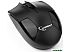 Компьютерная мышь GEMBIRD Wireless MUSW-300