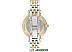 Наручные часы Anne Klein 2159GNTT Наручные часы Anne Klein 2159GNTT