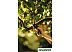 Секатор контактный FISKARS PowerStep (арт.111670) (1000575) Секатор контактный FISKARS PowerStep (арт.111670) (1000575)