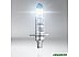 Комплект автомобильных ламп Osram H1 64150NL-HCB Комплект автомобильных ламп Osram H1 64150NL-HCB