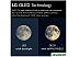 OLED телевизор LG C2 OLED65C24LA