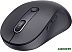 Мышь Baseus F02 Ergonomic Wireless Mouse (черный, без батарейки в комплекте) (B01055505111-01)