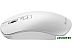 Мышь Canyon CNS-CMSW18PW