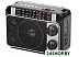 Радиоприемник Ritmix RPR-171 Радиоприемник Ritmix RPR-171