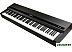 Цифровое пианино Kurzweil MPS110