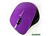 Мышь беспроводная SmartBuy 309AG Purple (SBM-309AG-P)