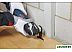 Набор оснастки Bosch 2608661907 (5 предметов) Набор оснастки Bosch 2608661907 (5 предметов)